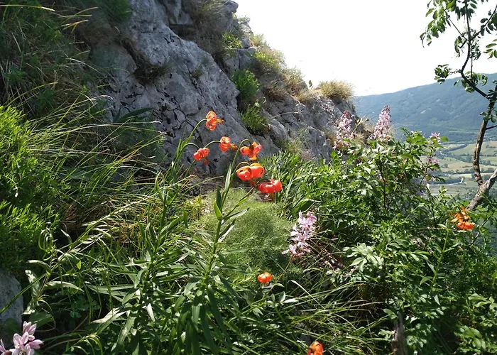 Apartma Bella Nadiza