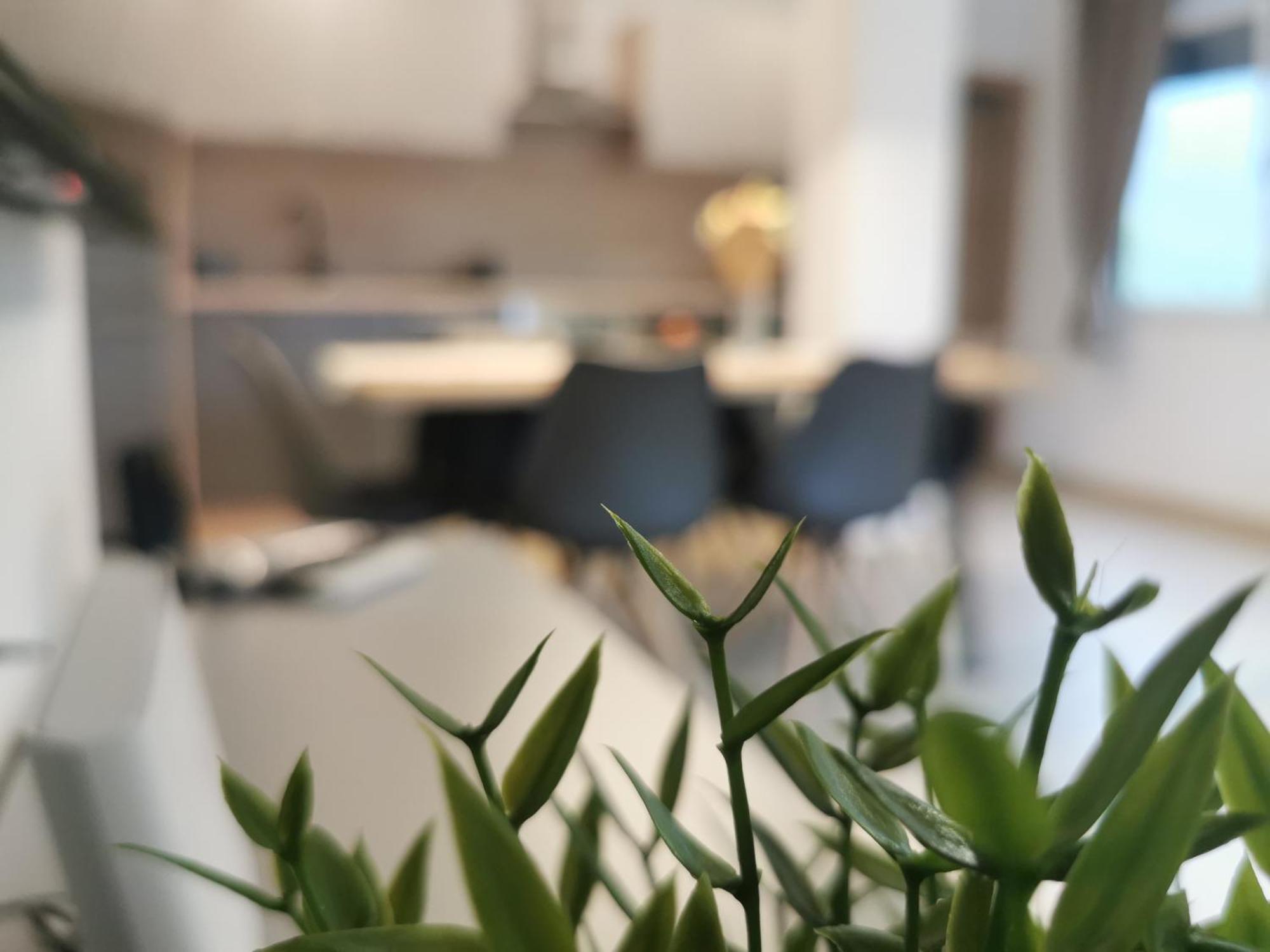 Apartma Bella Nadiza *