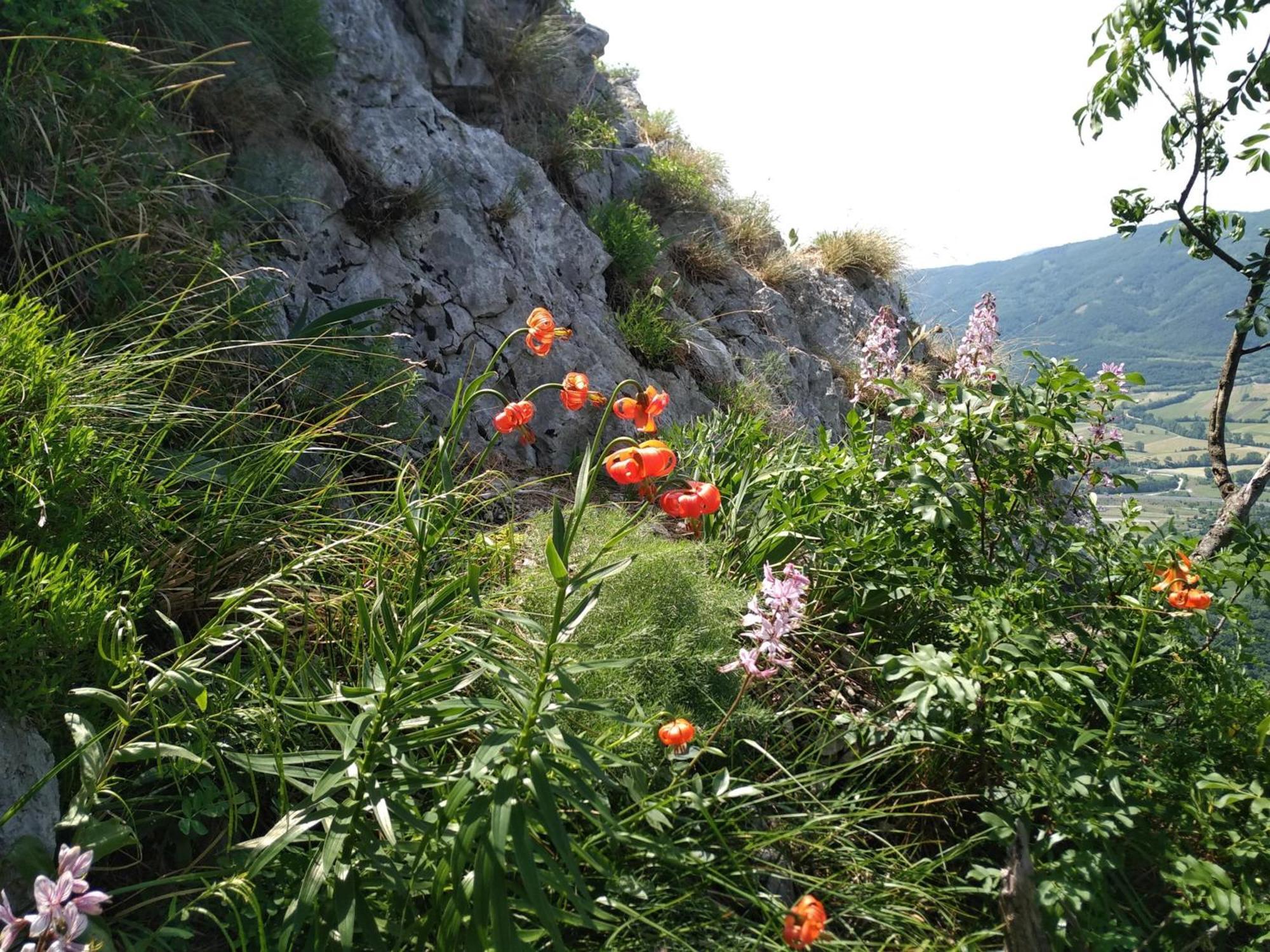 Apartma Bella Nadiza Kobarid